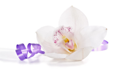 Similar image 11503320