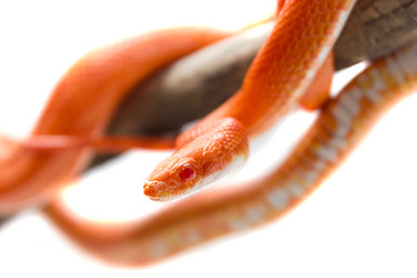 Similar image 11503274