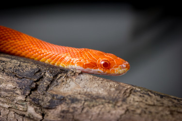 Similar image 11503277