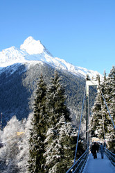 Similar image 11503237