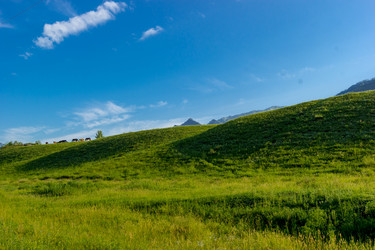 Similar image 11503583