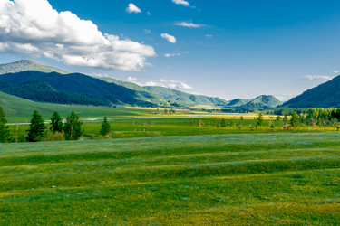 Similar image 11503591