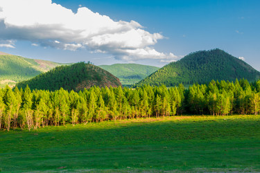 Similar image 11503593