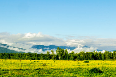 Similar image 11503595