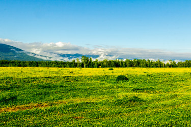 Similar image 11503596