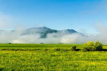 Similar image 11503597