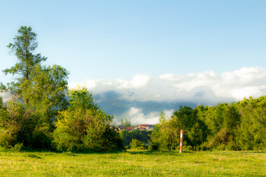 Similar image 11503601