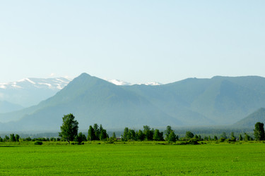 Similar image 11503602