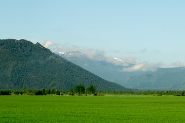 Similar image 11503603