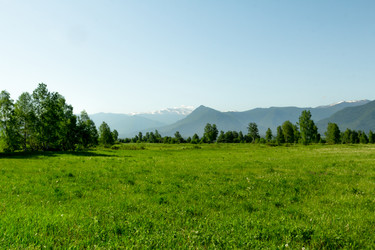 Similar image 11503604