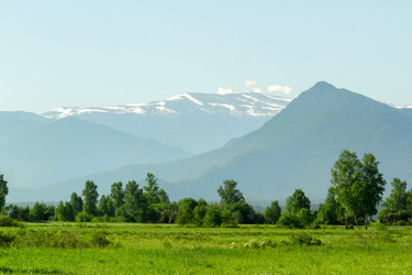 Similar image 11503605