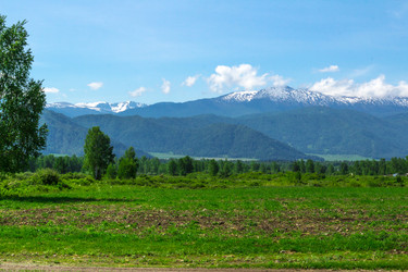 Similar image 11503618