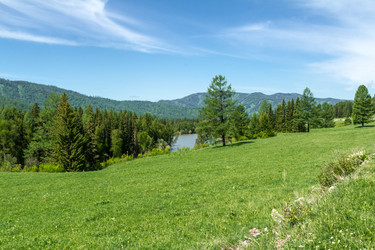 Similar image 11503619