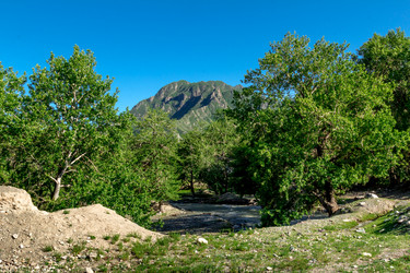 Similar image 11503624