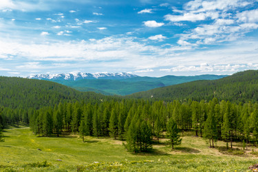 Similar image 11503322