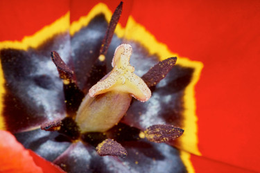 Similar image 11503652