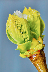 Similar image 11503675