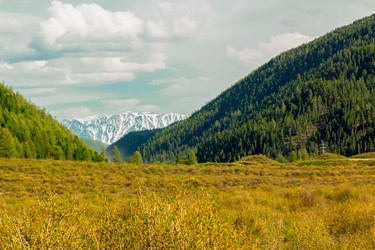 Similar image 11503326