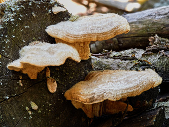 Similar image 11503679