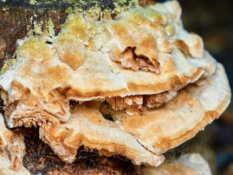 Similar image 11503681