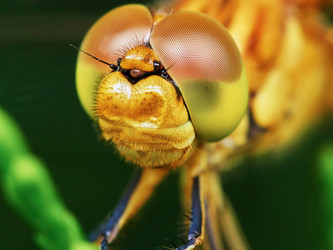 Similar image 11503682