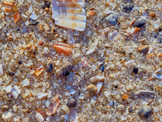 Similar image 11503684