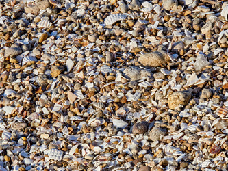 Similar image 11503685