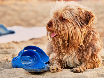 Similar image 11503690