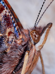 Similar image 11503693