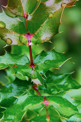 Similar image 11503702