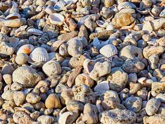 Similar image 11503704