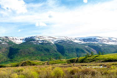 Similar image 11503328