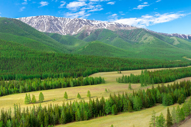 Similar image 11503329