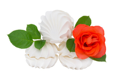 Similar image 11503383