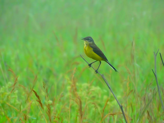 Similar image 11503212