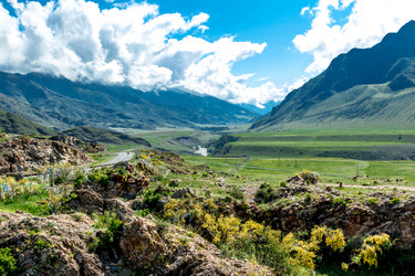 Similar image 11504154