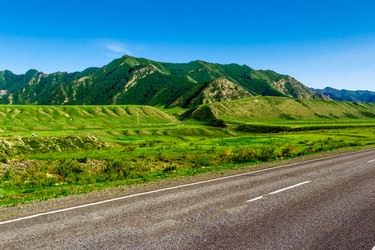 Similar image 11504291