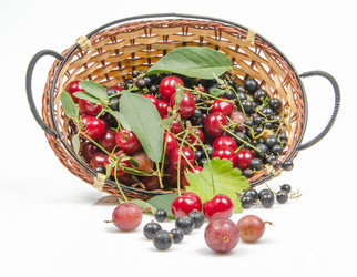 Similar image 11504624