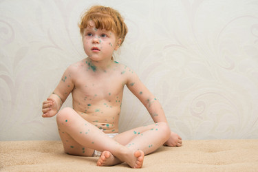 Similar image 11504160