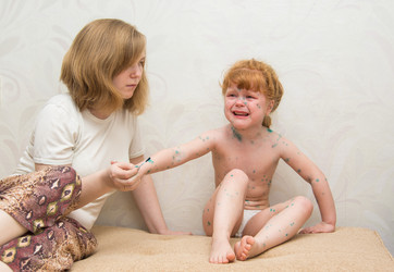 Similar image 11504165