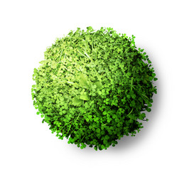 Similar image 11504609