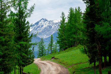 Similar image 11504680