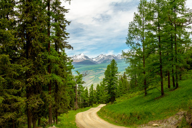 Similar image 11504684