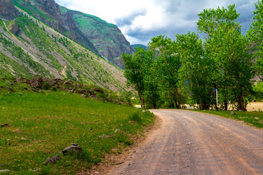 Similar image 11504685