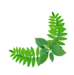 Similar image 11504631