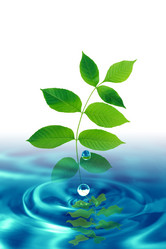 Similar image 11504633