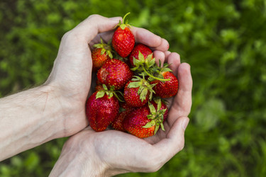 Similar image 11504689