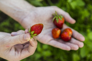 Similar image 11504690