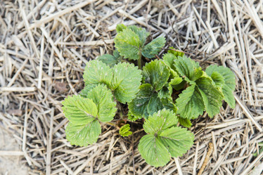 Similar image 11504700