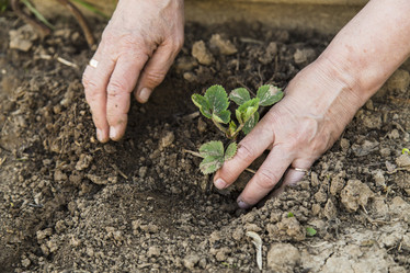 Similar image 11504705